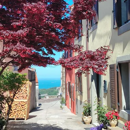 10min Dal Centro Privata Con Jacuzzi Villa